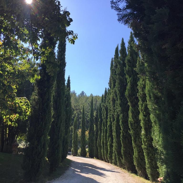 Agriturismo Monastero Di San Biagio Nocera Umbra Εξωτερικό φωτογραφία